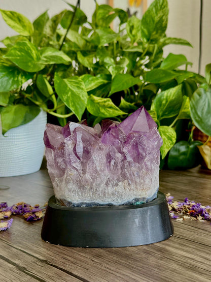 Amethyst Cluster with Custom Base- Spiritual grounding, Protection/Calmness, Emotional Balance