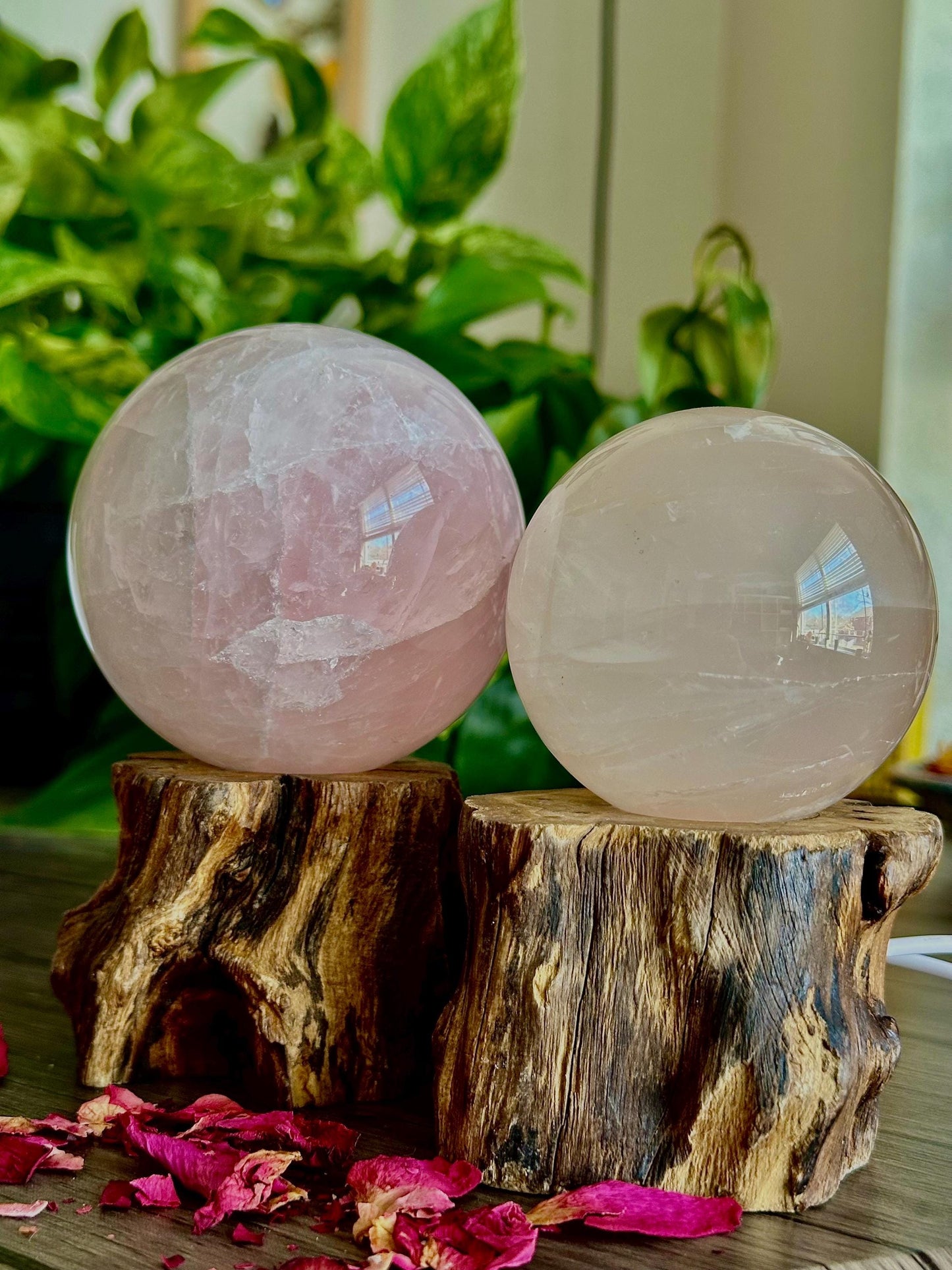 Rose Quartz Sphere for Healing, Love, & Beauty - Hemlock & Honey