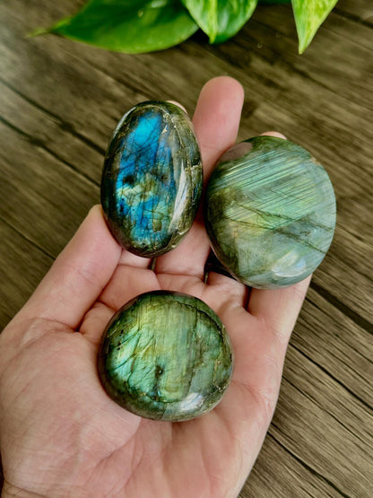 Labradorite Palm Stones (Mixed Quality / Golden Flash, High Quality)