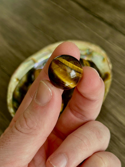 Tiger Eye Mini Spheres - Confidence, Protection & Personal Power - Hemlock & Honey