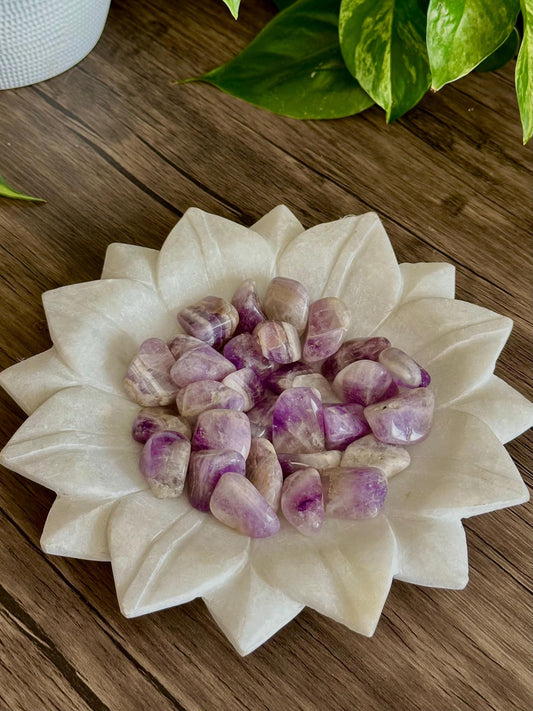 Amethyst Tumbles- Relaxation, Emotional Balance, and Intuition