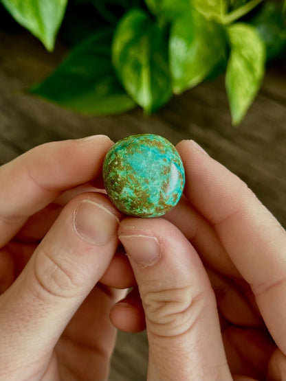 Turquoise / Chrysocolla Tumbles- Communication, Emotional Balance, Expression & Healing
