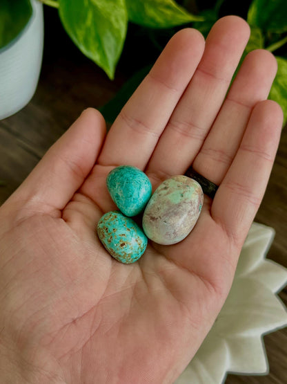 Turquoise / Chrysocolla Tumbles- Communication, Emotional Balance, Expression & Healing