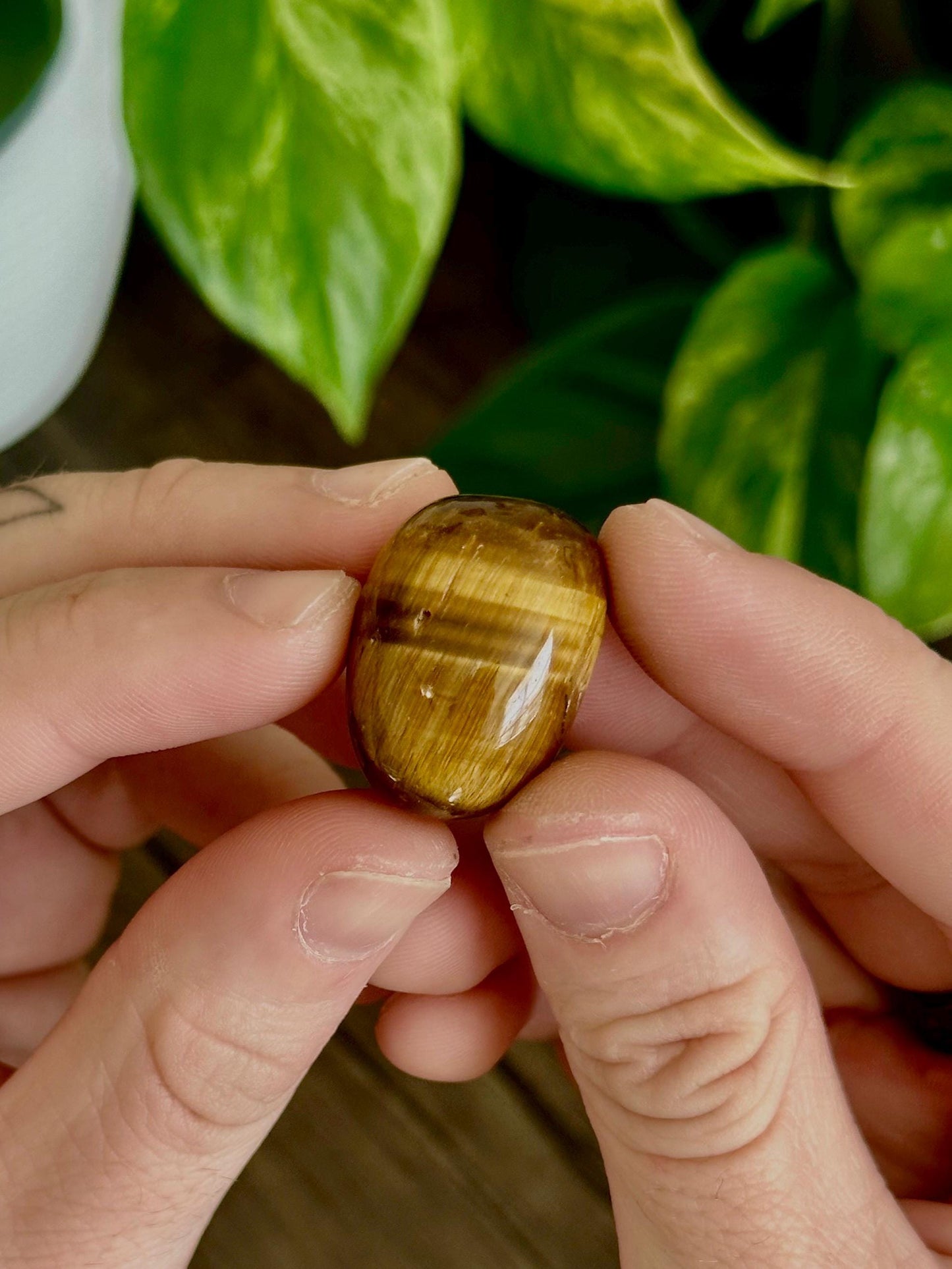 Tiger Eye Tumbles- Courage, Strength & Protection