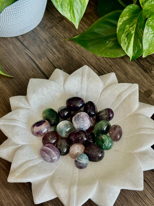 Fluorite Tumbles- Focus, Balance & Mental Health Organization / Clarity