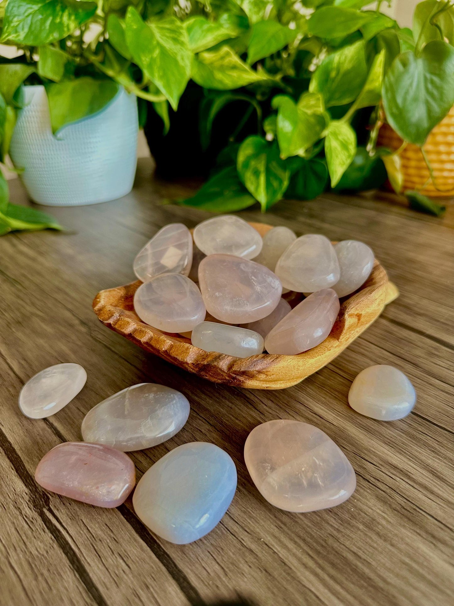 Blue Rose Quartz Palm Stones for Emotional healing, Relationship Communication & Compassion