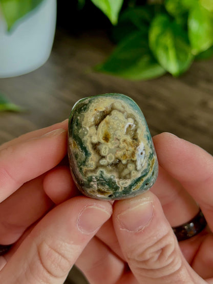 Ocean Jasper Tumbles- Emotional healing, Flow & Reflection