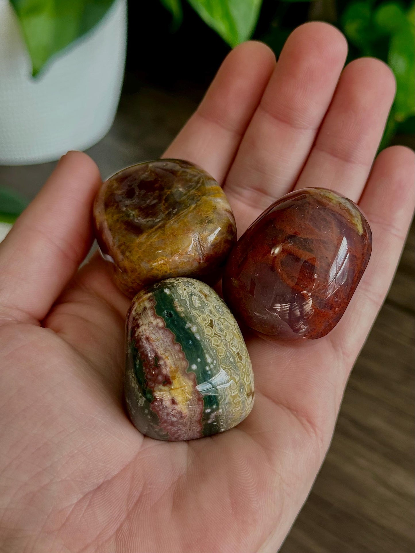 Ocean Jasper Tumbles- Emotional healing, Flow & Reflection