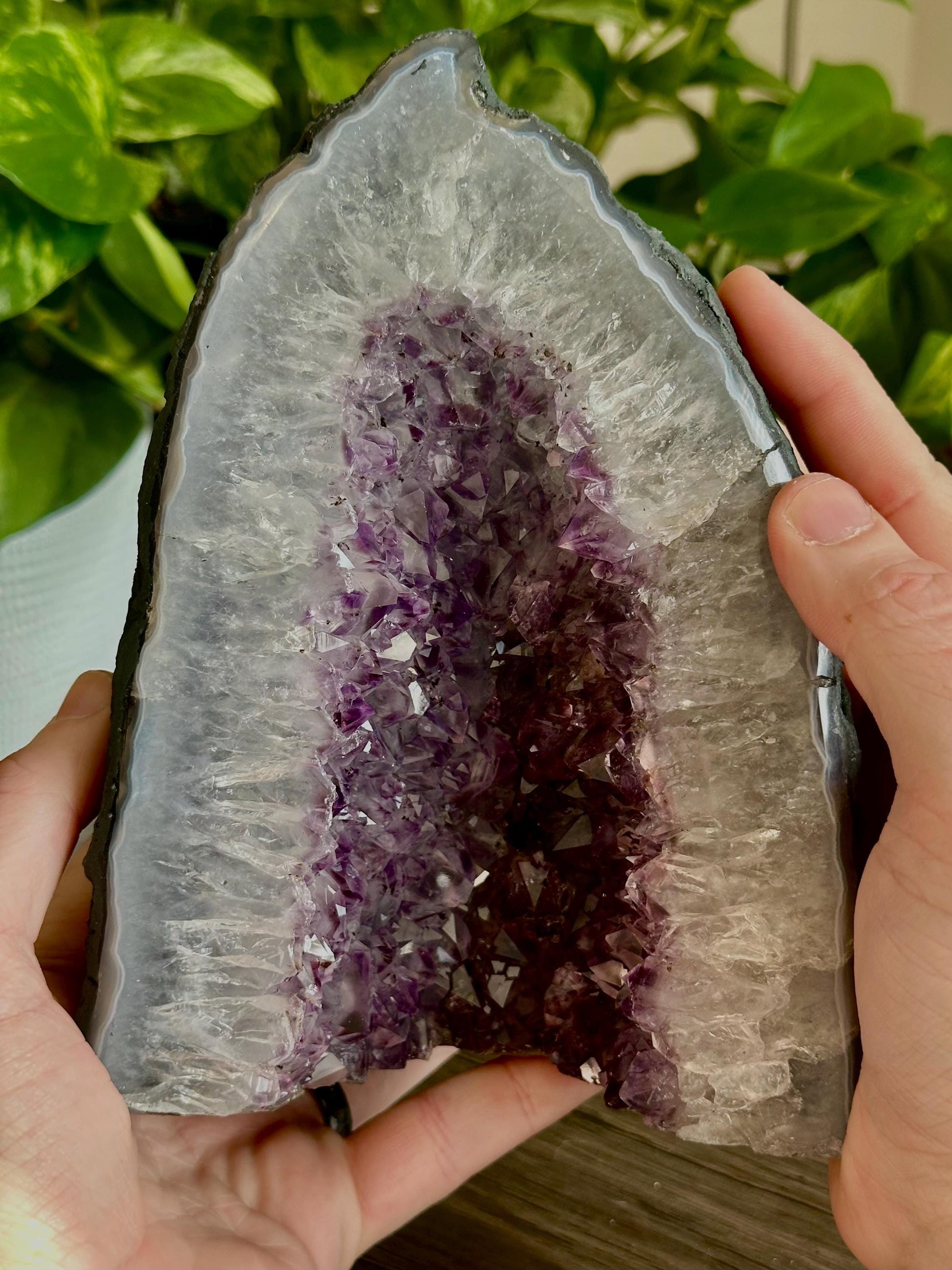 Amethyst Cathedral LG - Spiritual grounding, Home Protection/Calmness, Emotional Balance - Hemlock & Honey
