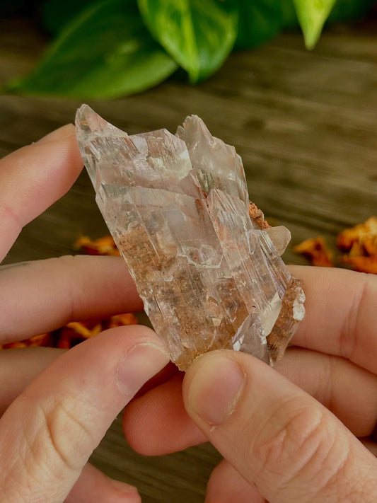Bermejillo Selenite- Cleansing, Renewal & Calm Energy