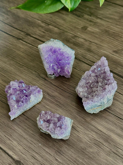 Amethyst Cluster- Spiritual Grounding, Protection/Calmness, Emotional Balance, & Intuition