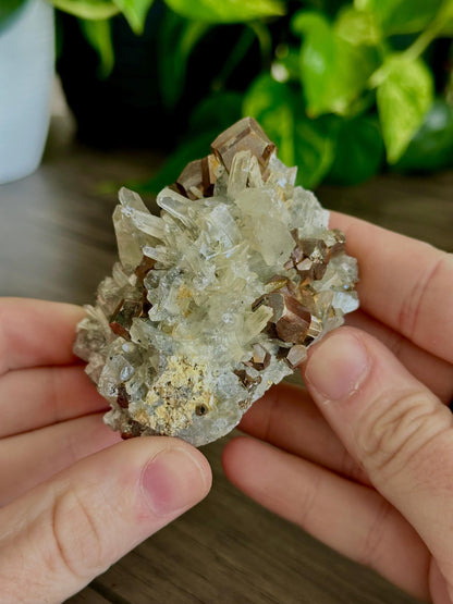 Pyrite & Quartz Cluster -BEAUTIFUL- Protection, Balance/ Amplification