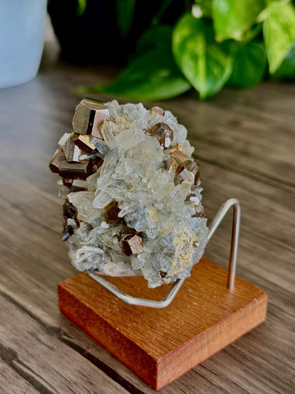 Pyrite & Quartz Cluster -BEAUTIFUL- Protection, Balance/ Amplification