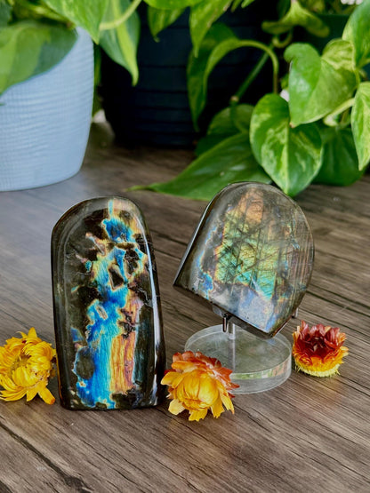 Spectrolite Freeforms- Depth Work, Intuition & Transformation / Protection