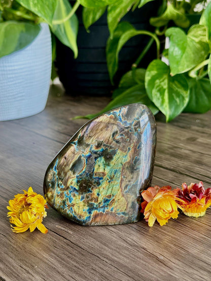 Spectrolite Freeforms- Depth Work, Intuition & Transformation / Protection