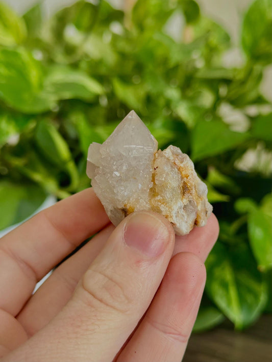 Spirit Quartz Points- Harmony, Spiritual Connection & Unity
