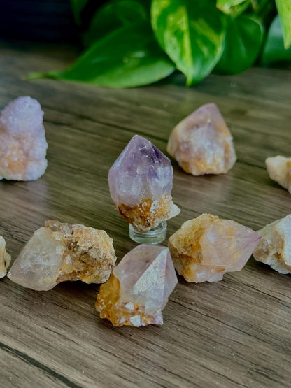 Spirit Quartz Points- Harmony, Spiritual Connection & Unity