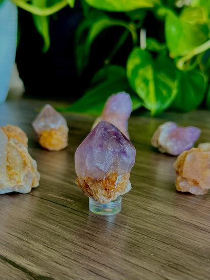 Spirit Quartz Points- Harmony, Spiritual Connection & Unity