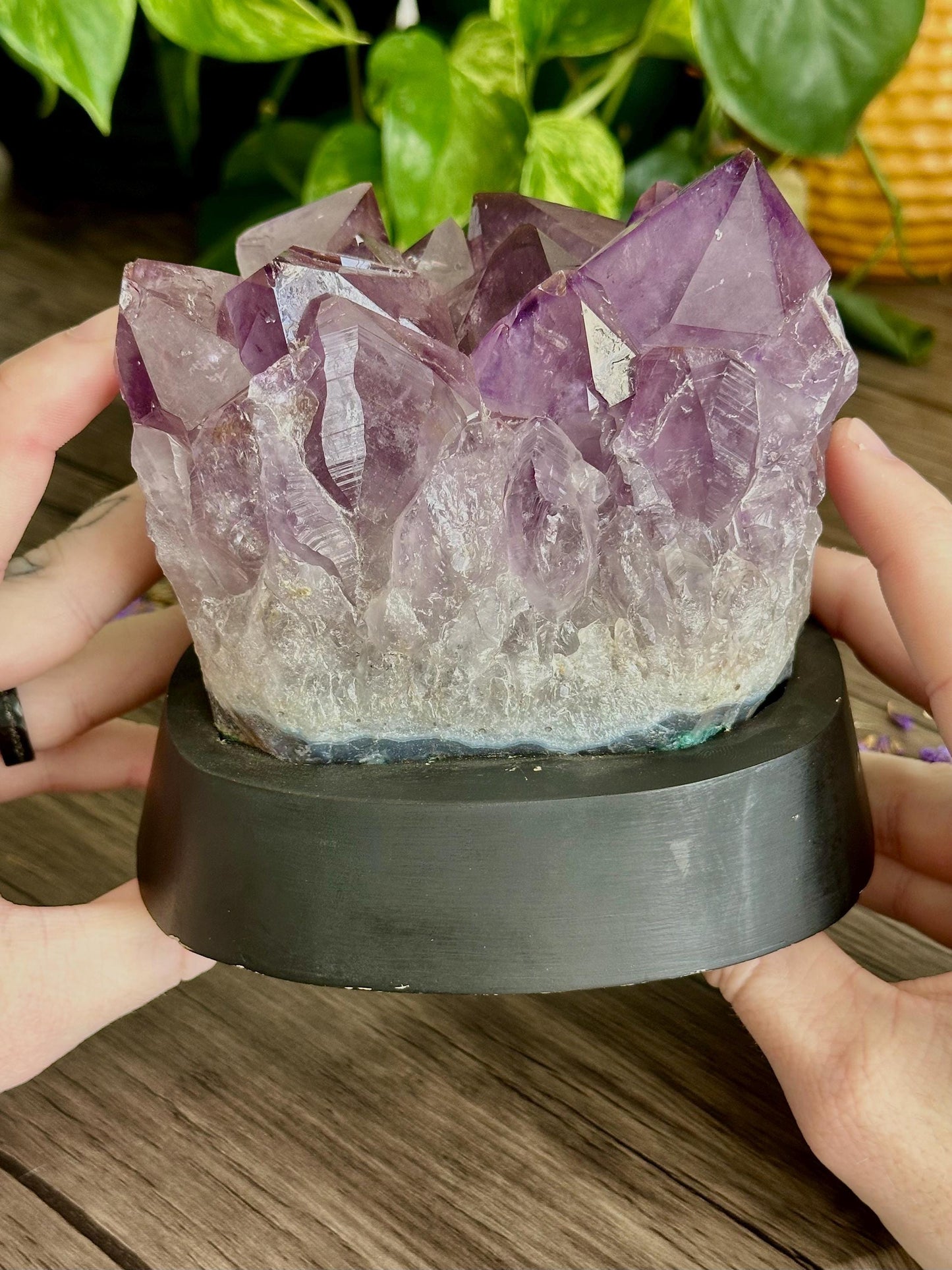 Amethyst Cluster with Custom Base- Spiritual grounding, Protection/Calmness, Emotional Balance
