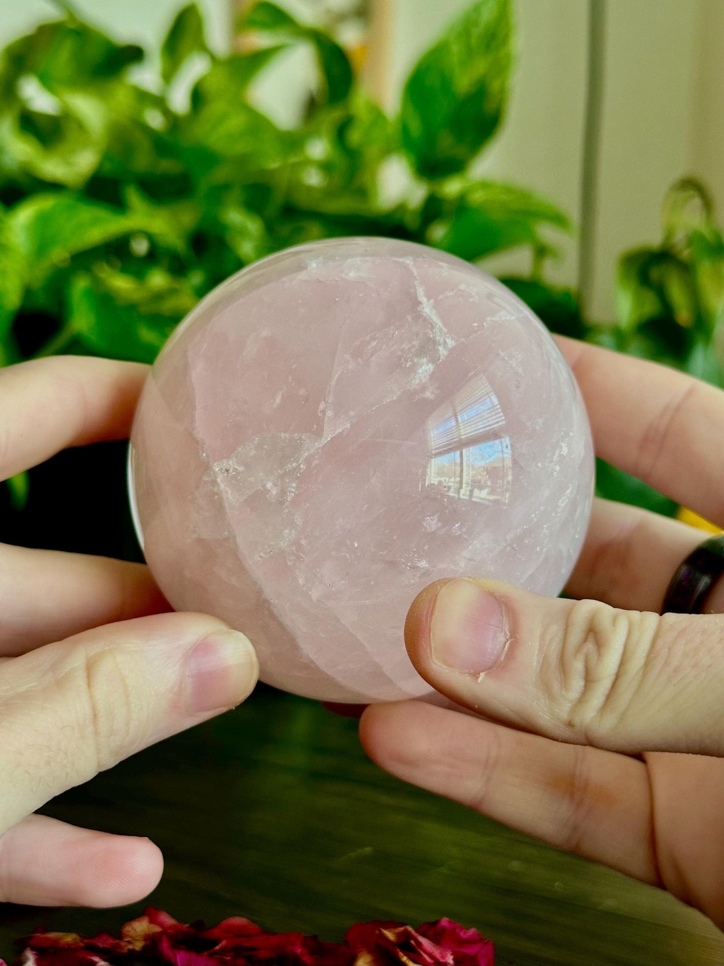 Rose Quartz Sphere for Healing, Love, & Beauty - Hemlock & Honey