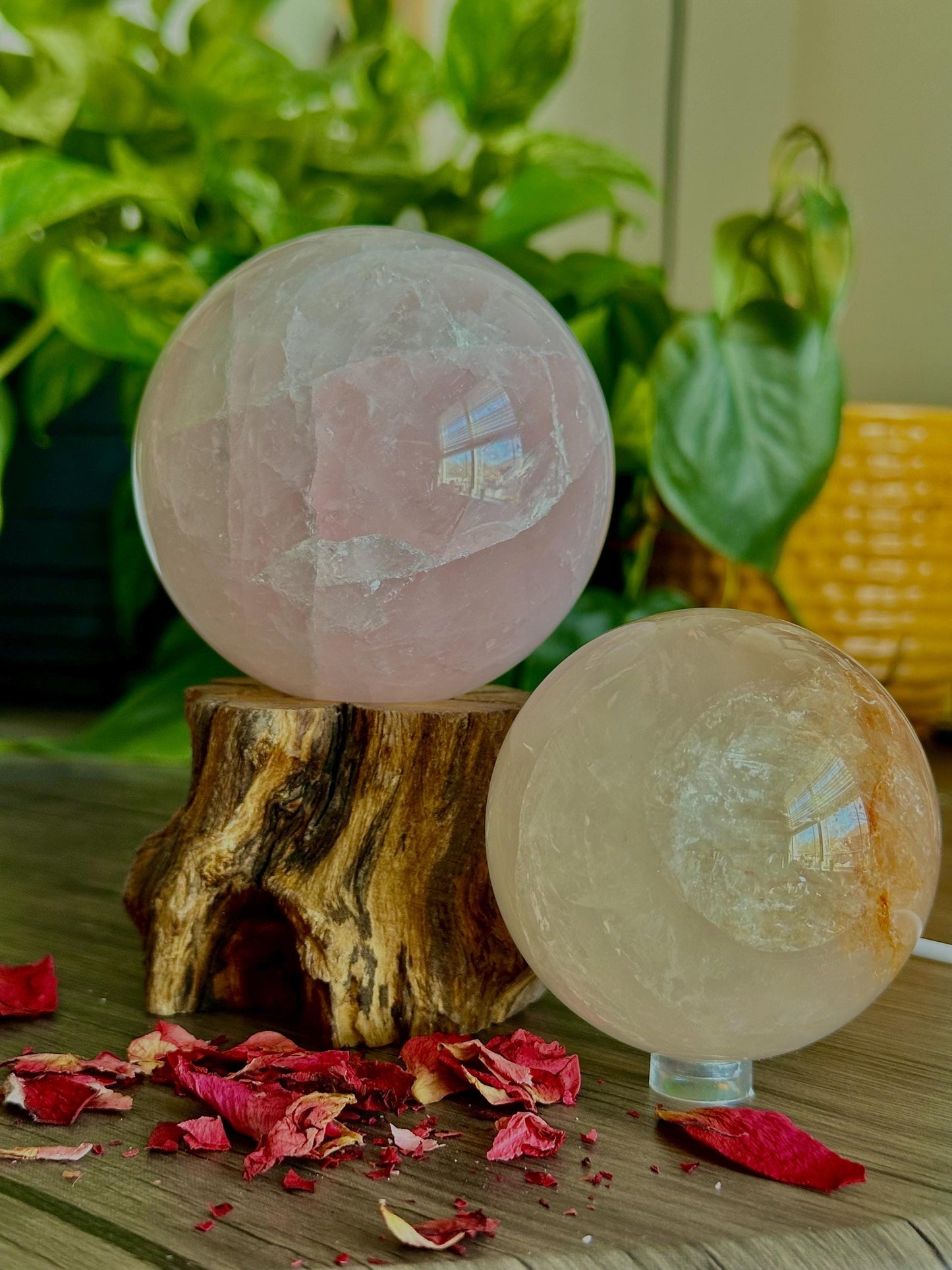 Rose Quartz Sphere for Healing, Love, & Beauty - Hemlock & Honey