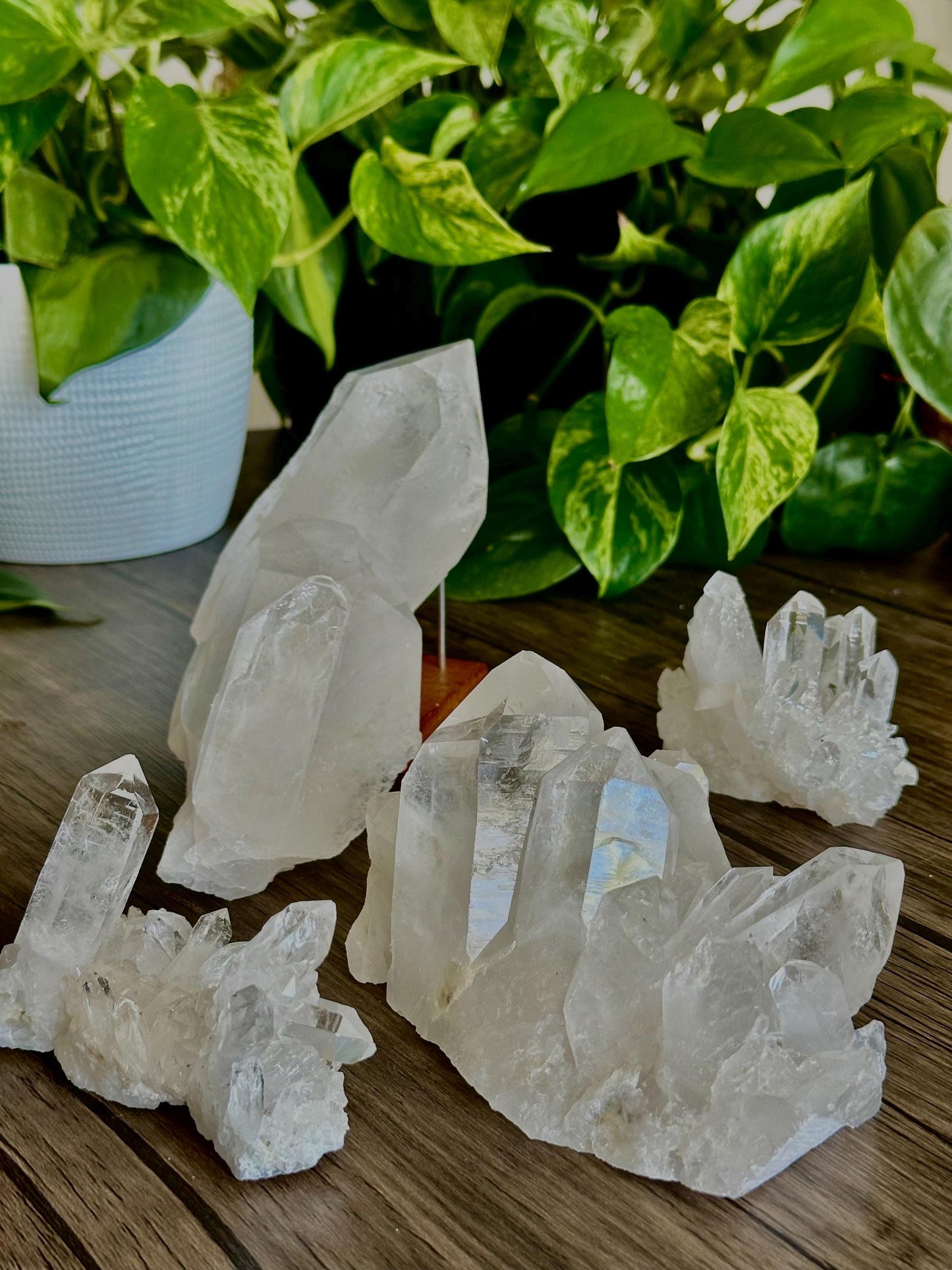 XL & Medium Quartz Clusters- Amplification, Space Cleansing/ Clarity