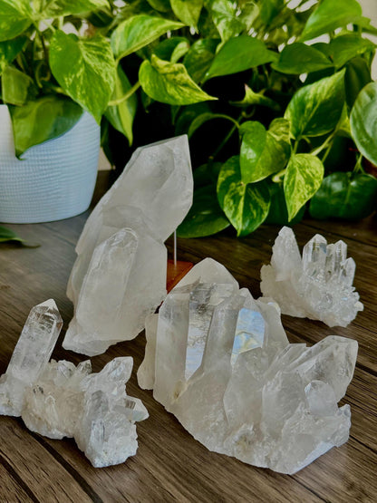 XL & Medium Quartz Clusters- Amplification, Space Cleansing/ Clarity