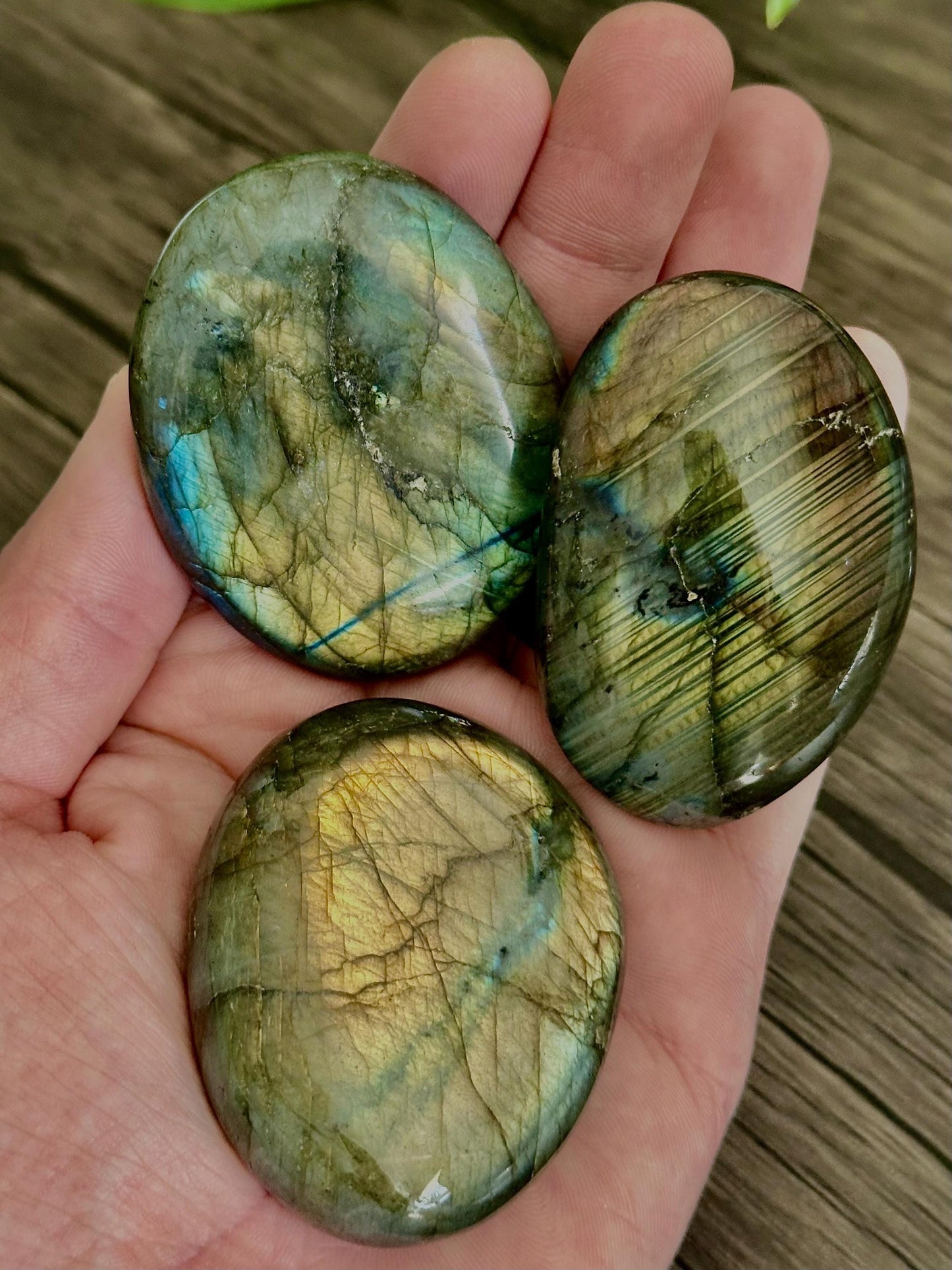 Labradorite Palm Stones (Mixed Quality / Golden Flash, High Quality)