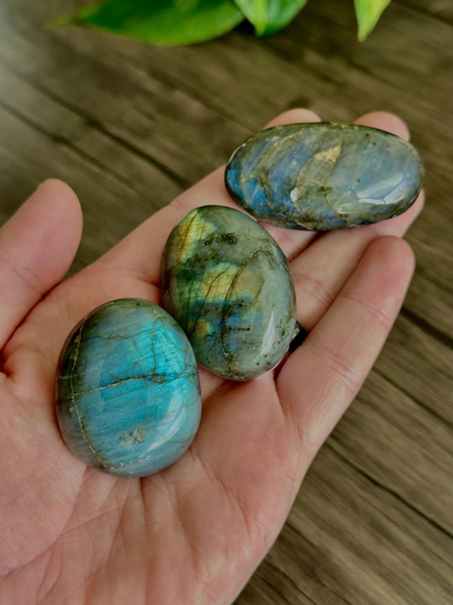 Labradorite Palm Stones (Mixed Quality / Golden Flash, High Quality)