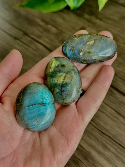 Labradorite Palm Stones (Mixed Quality / Golden Flash, High Quality)