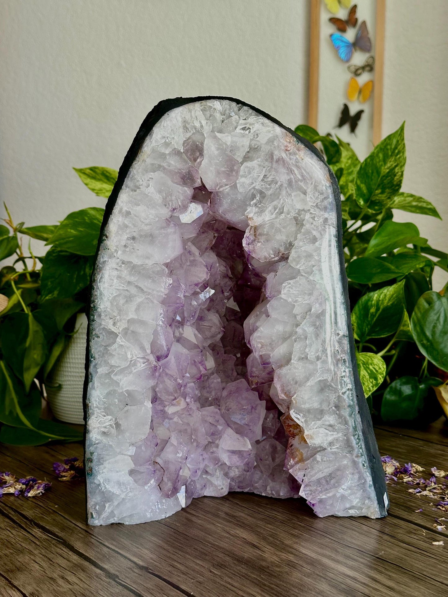 XL Amethyst Cathedral for Spiritual Grounding, Protection, & Intuition