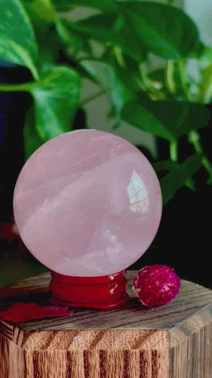 Rose Quartz Spheres (XL, Med, & Star Rose Quartz)